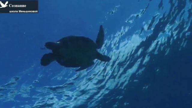 Чистка астрального тела | медитация | Ксения Меньшиков