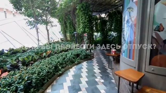 Очаруйтесь красотой круизного лайнера: Развлечения и