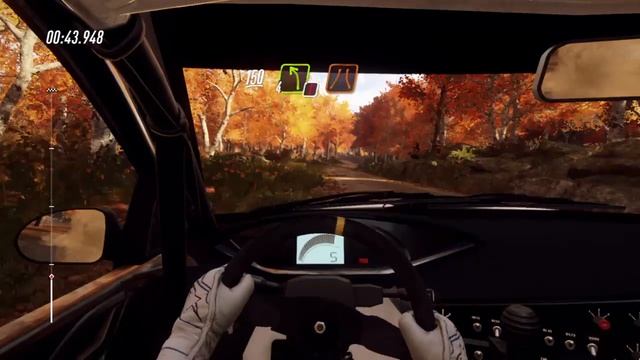 DiRT Rally 2 ФокусЕвропееский