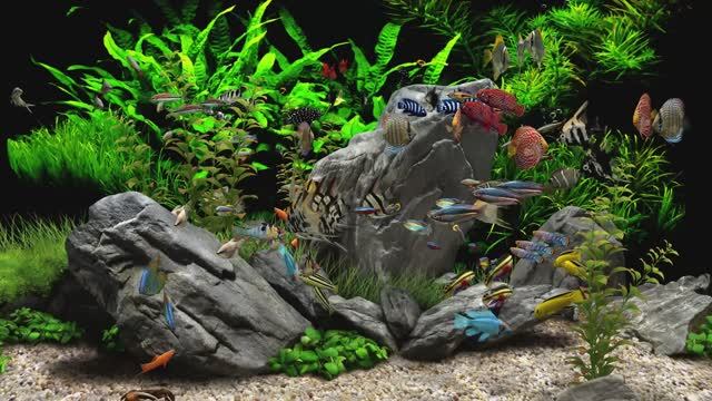 7c6eb4dc64dc983f5498d71dde6b6e23