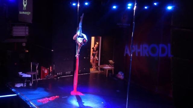 Дом летающих кинжалов Pole Dance
