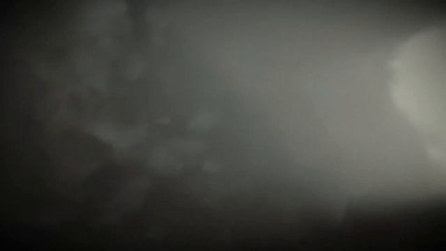 RDR2 незнакомцы