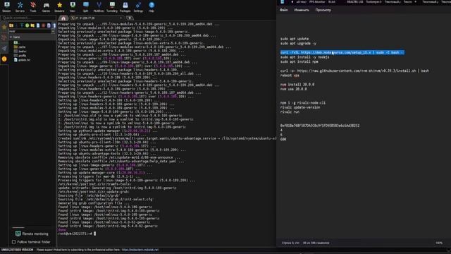 Rivalz - гайд по установке ноды на сервере VPS