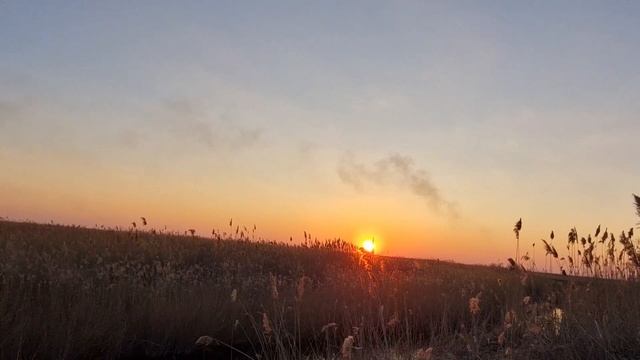 БЕССАРАБСКИЙ ЗАКАТ. ЗВУКИ ПРИРОДЫ, СОБАКА И КРАСИВАЯ М