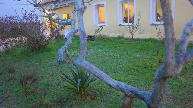 Мы испортили деревья? Теперь они голубого цвета.... Вес?