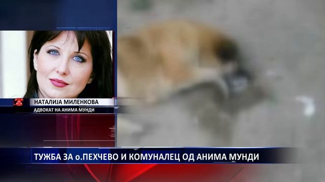 ТУЖБА ЗА о ПЕХЧЕВО И КОМУНАЛЕЦ ОД АНИМА МУНДИ 25 02 2019