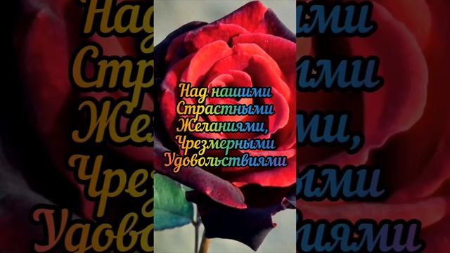 5. Сильный источник энергии #саморазвитие #осознанност