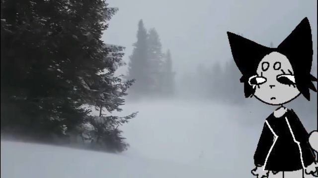 СВИДЕТЕЛЬСТВО О СМЕРТИ-КТО ЭТО, И О ЧЕМ ОНИ? история, факты, что с ними сейчас