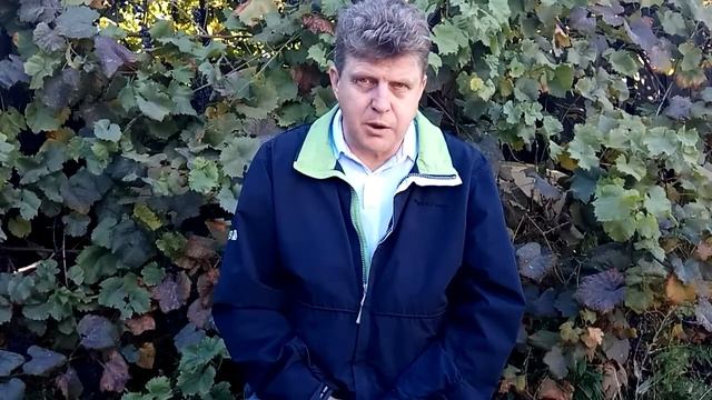 ОТВЕТСТВЕННОСТЬ МАГА ПЕРЕД ДЕТЬМИ