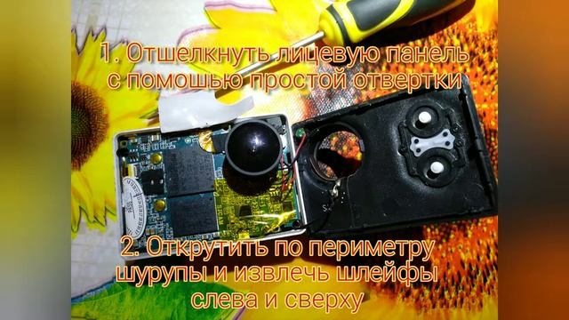 Разборка (disassembly) SJCAM SJ7 Star