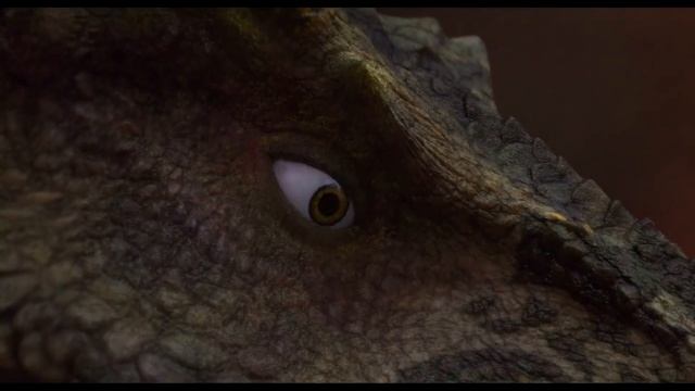 3d0e620244e30de110fdf62f3d0ee5b2