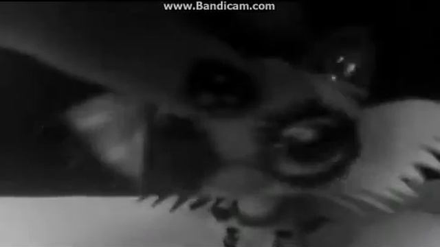 Копия видео LPS : Клип- Starring Role