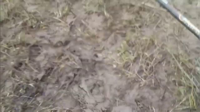 Он проплыл,пока я рыбачил | #fishing #рыбалка #виссарион #бе