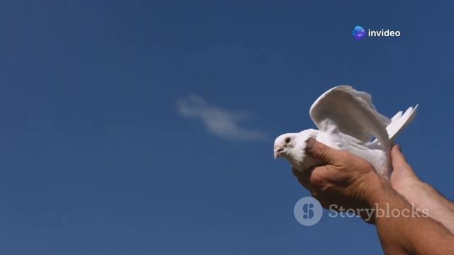 УТРЕННЯЯ МЕДИТАЦИЯ ДЛЯ ГАРМОНИИ ДУШИ