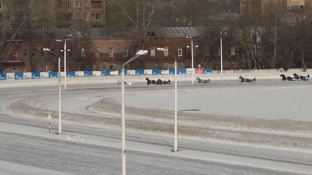 Московский ипподром. Бега. 26.02.17. Заезд 8(92). ПРИЗ ГОНДОЛ?