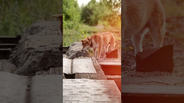 4861c0a4330b88cb31a928a90b4575e8