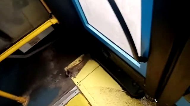 поездка на троллейбусе маз 203т70, маршрут 8