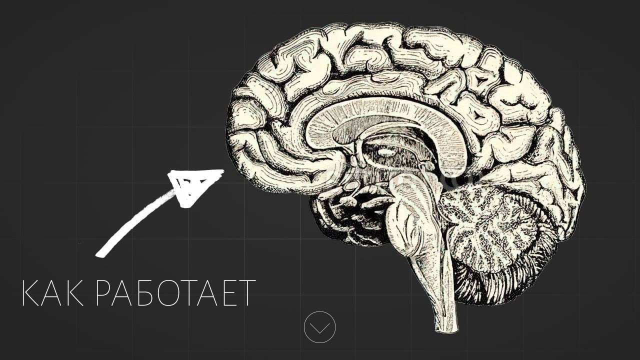 Как работает мозг_Чагин О.А.