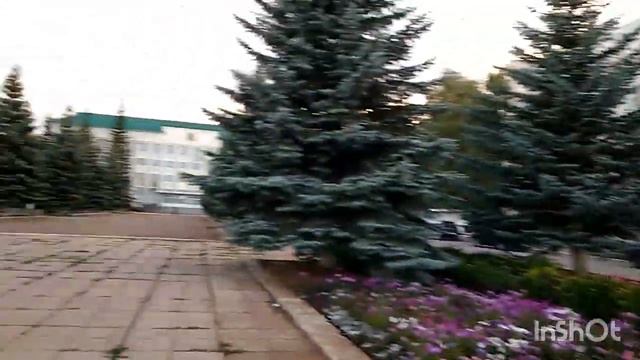 Прогулка по Белебею Котик красивый Новый магазин Апельсин...