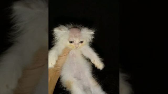 Судно-Борис Рыжий[°speed Up°]