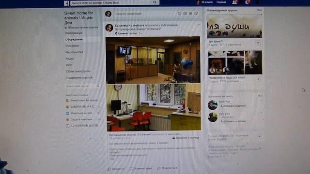 # 530 Группа Sweet Home For Animals \ Ищем Дом