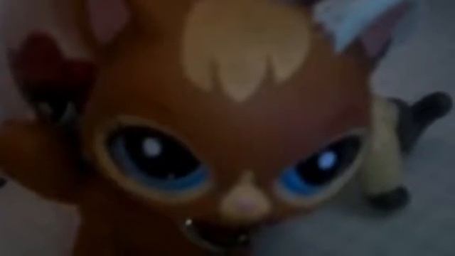 LPS сирял: 😈ЭЛИТА😈 [1 сезон😉 1 серия😎]