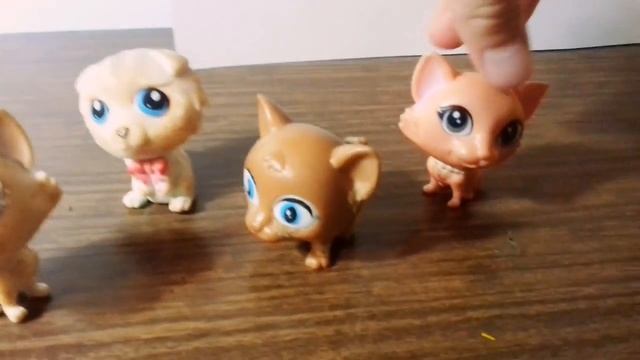 Сериал:Жизнь в КэТтауне 9 серия!