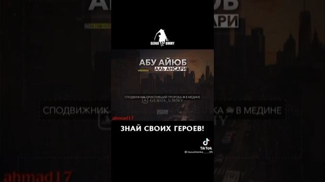 Adcc9a770d480a87105bc9379df68a81