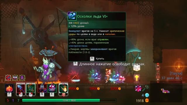 Общение + Dead Cells