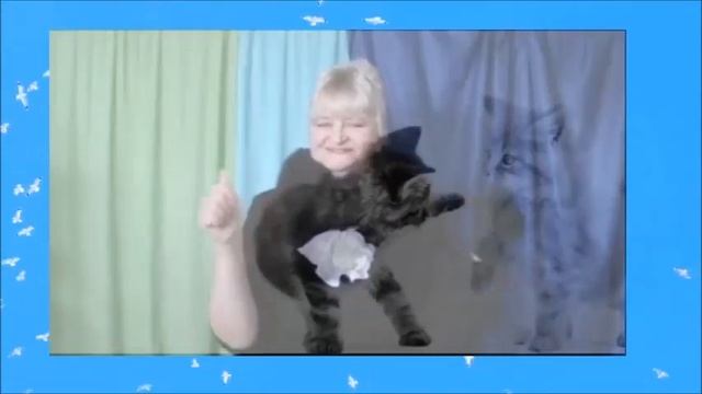 П Весёлая песенка про кота=2014г