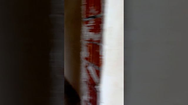 56b9e764ef49308fd6f1e1cf69f9c149