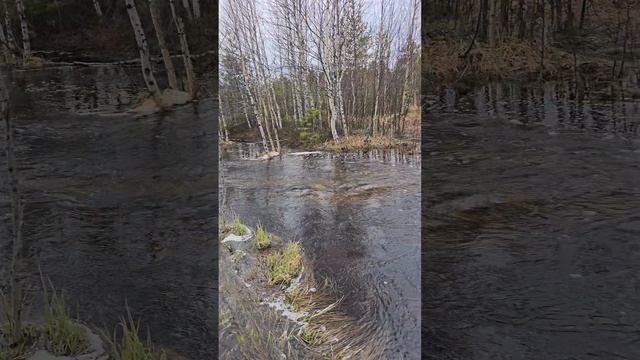 Открытие сезона жидкой воды 31.05.25