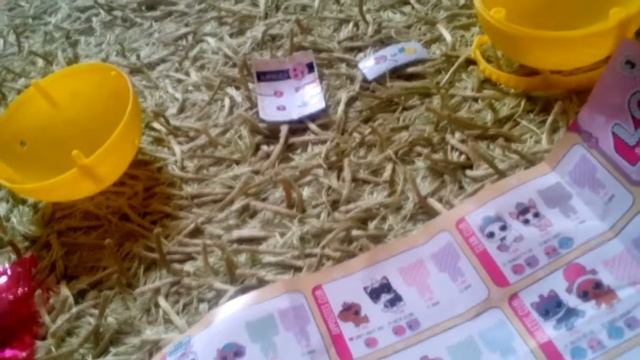 6240a1ed796b6afcdd79cfa43ff9ba2d