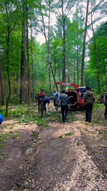 Расчистка леса перед монтажом габионов #стройка #габи?