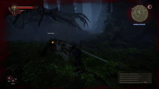 Ведьмак 2 Убийцы королей # 05 | Кейран? Не не слышал)