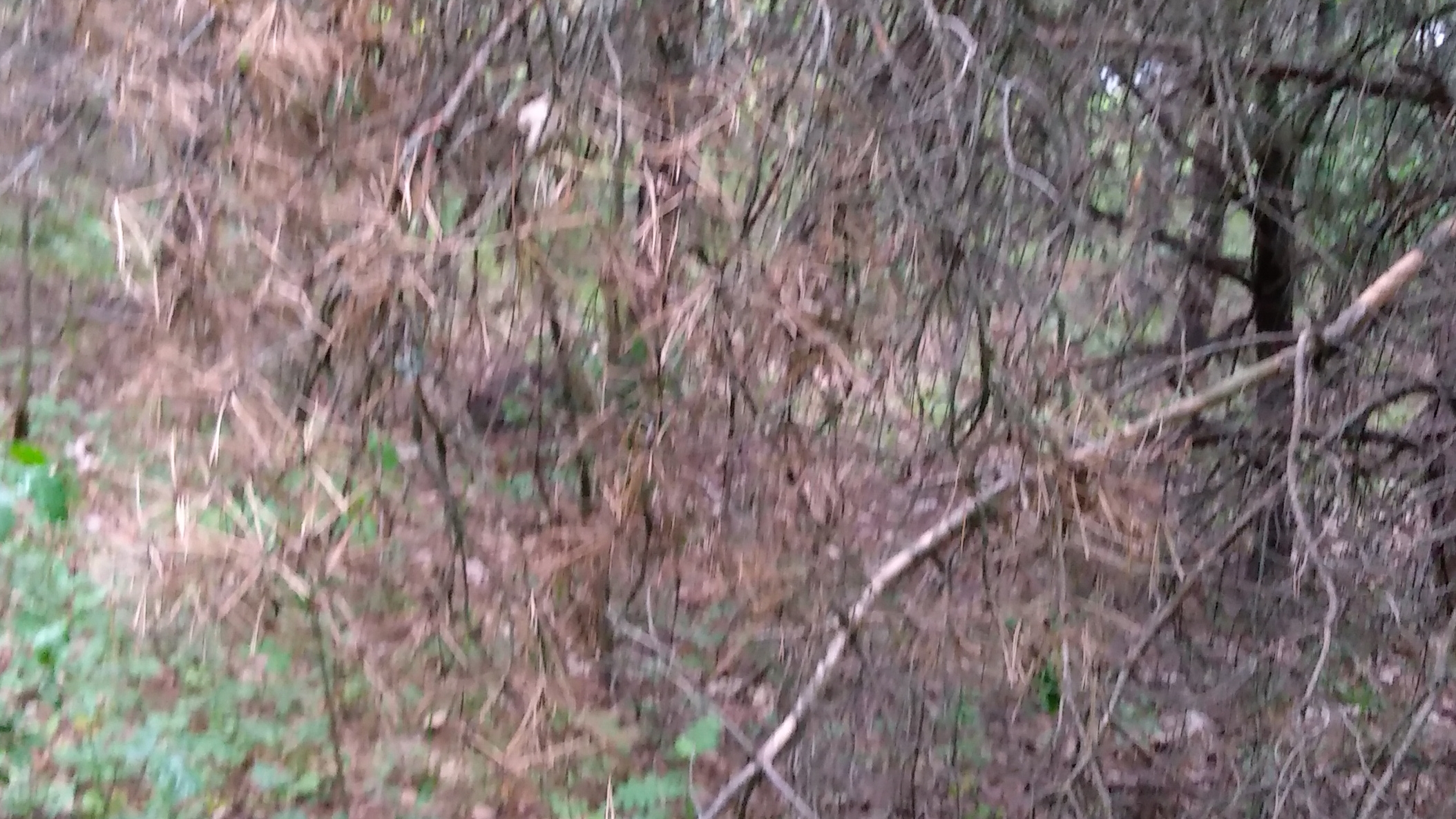 5384c0e0f56f34571c49797282d762d4