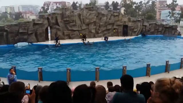 Делфинариум Батуми