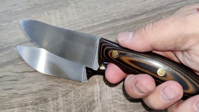 N690 два шейника