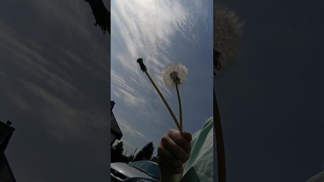 C956ac5d77b9e50c50d4f2eccd79fc44