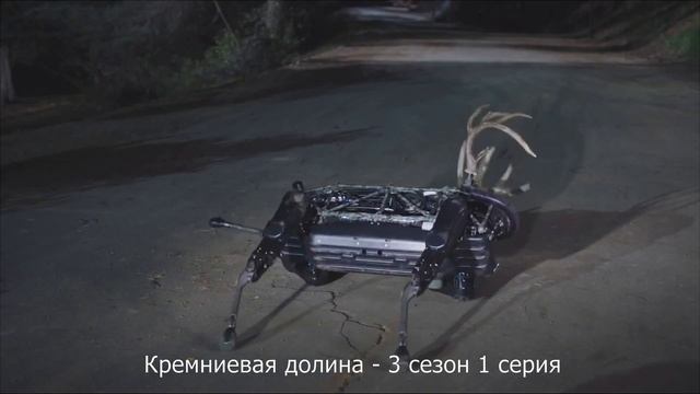 Кремниевая долина - Эрлих против робота