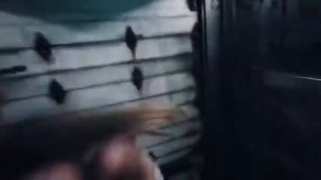 Идеальное ограбление