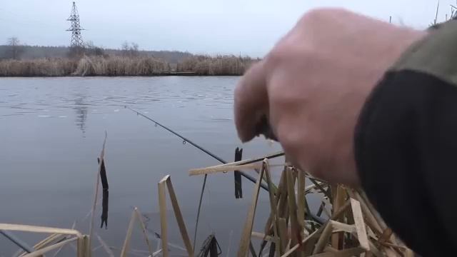 E57f76965450c2116663d6d7c1fb1700