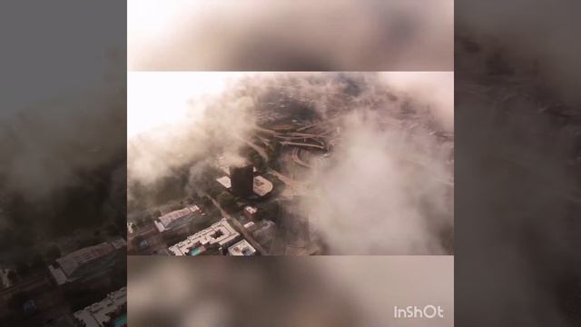 Бастер -не моя