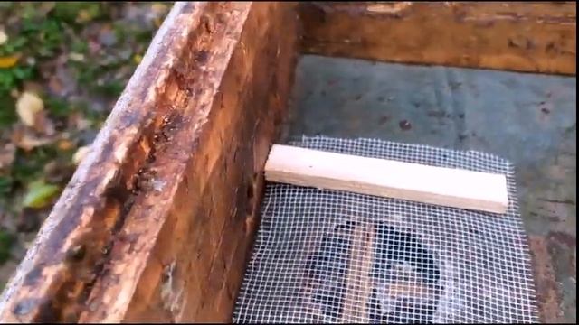 Утепление и вентиляция у пчел в зимовке на воле.