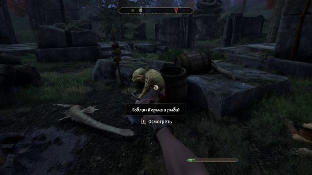 The Elder Scrolls IV  Oblivion Remastered Test