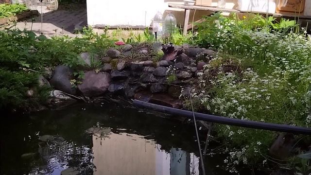 бешеный клёв