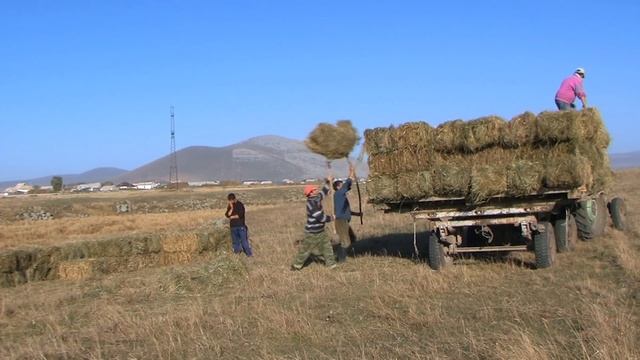 Родина (Часть 2)