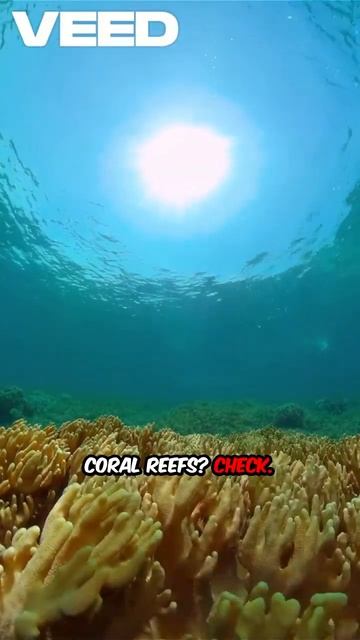 TOP 5 BEACH DESTINATIONS CHEAPER THAN MIAMI! ️ #cheapflights #floridabeach #flightdeals #travel