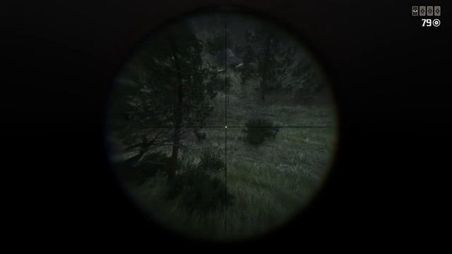 Red Dead Redemption 2 онлайн с другом