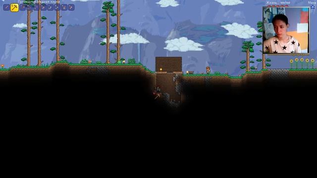 СабДєй [2]: Terraria